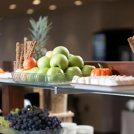 Lions Royal Estambul