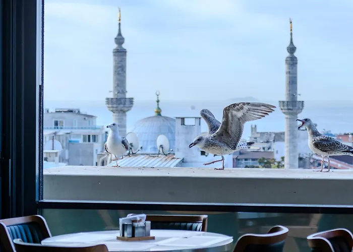 Lions Royal Estambul