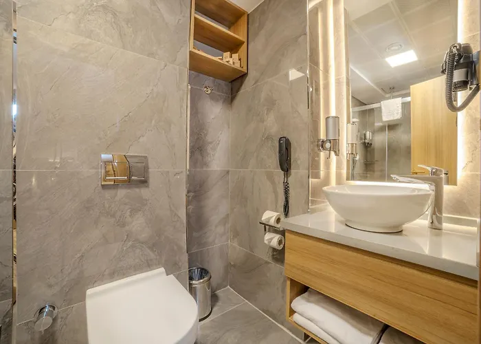 Hotel Lions Royal Estambul