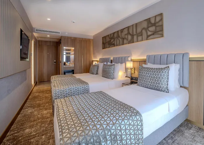 Hotel Lions Royal Istambul