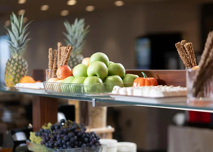 Lions Royal Istambul